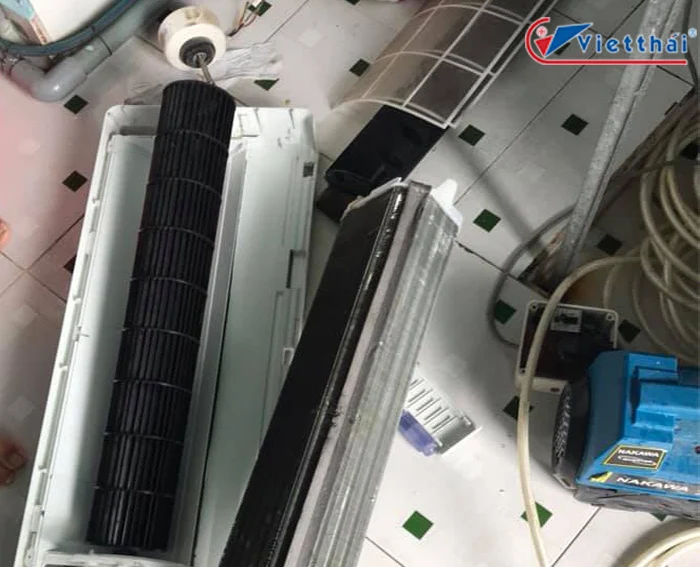 Việt Thái chuyên thay cánh quạt lồng sóc giá rẻ